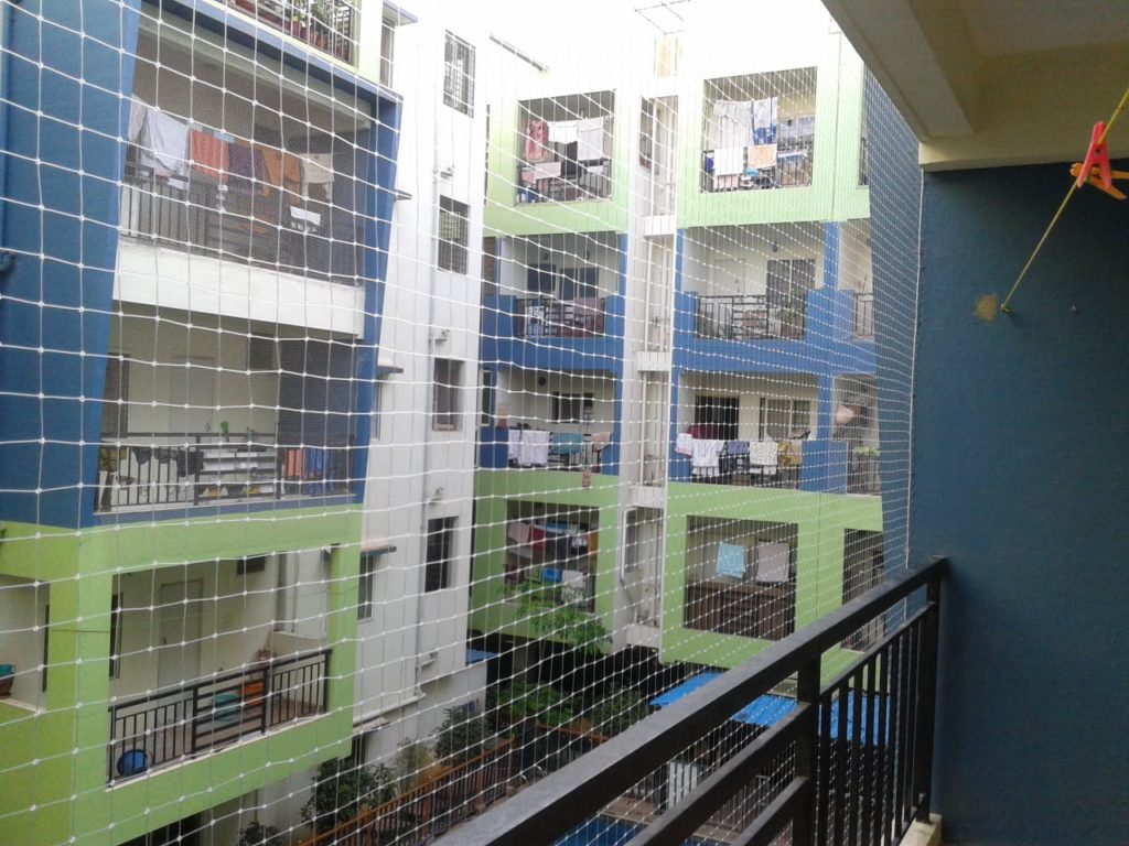 Pigeon safety nets in JNTU