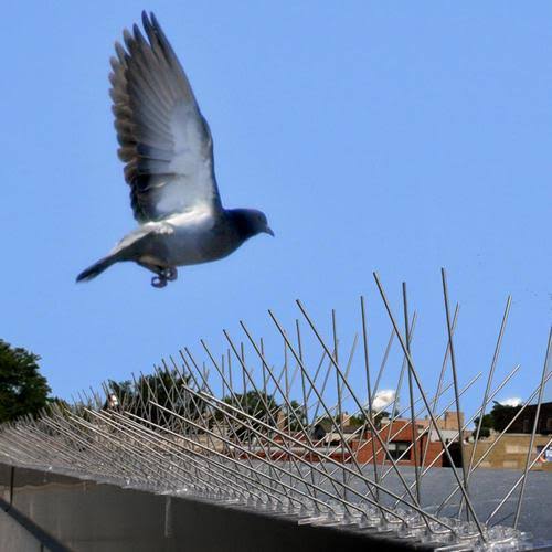 Bird Spikes Nets In Hyderabad
