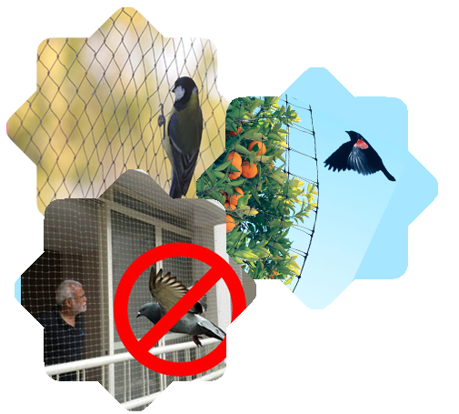Pigeon safety nets in nallagandla